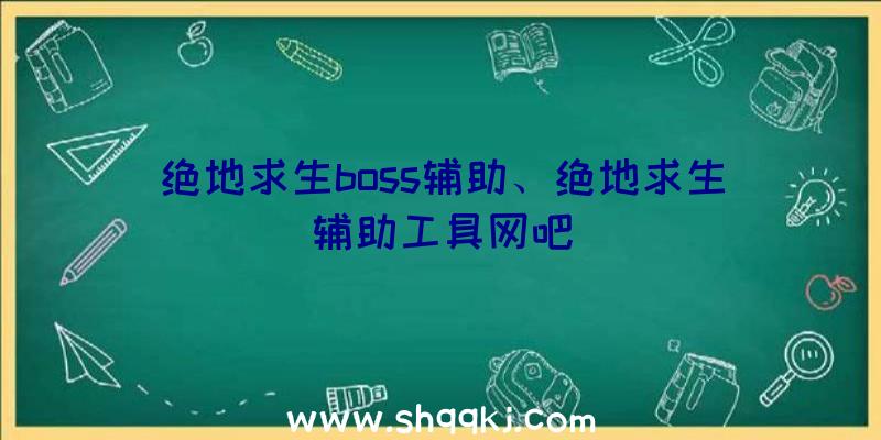 绝地求生boss辅助、绝地求生辅助工具网吧