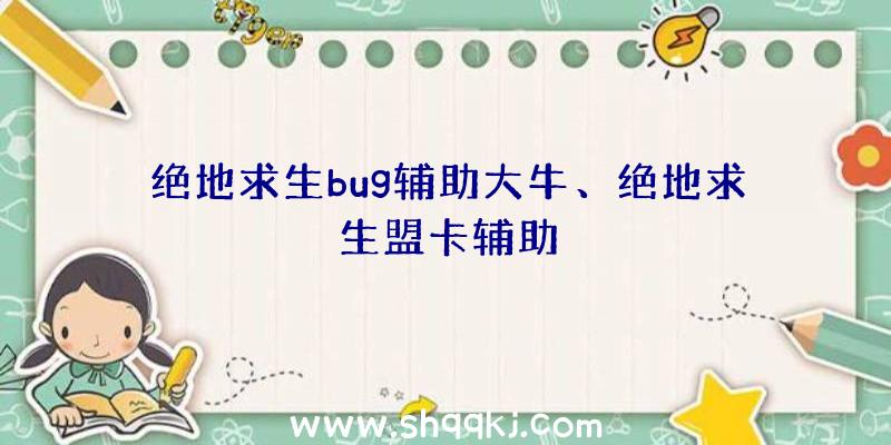 绝地求生bug辅助大牛、绝地求生盟卡辅助