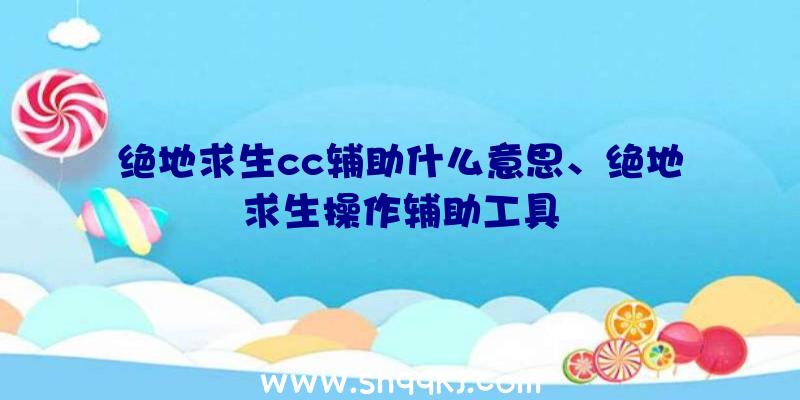 绝地求生cc辅助什么意思、绝地求生操作辅助工具