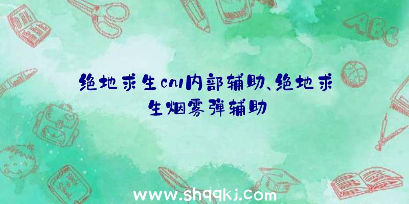 绝地求生cn1内部辅助、绝地求生烟雾弹辅助