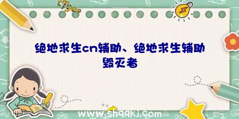 绝地求生cn辅助、绝地求生辅助毁灭者