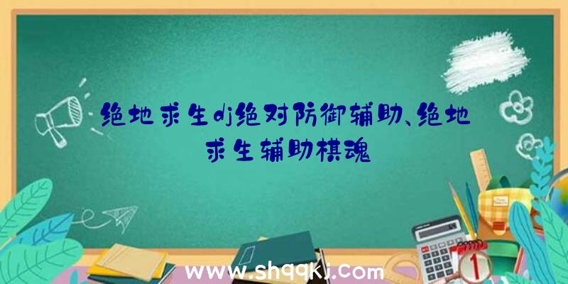 绝地求生dj绝对防御辅助、绝地求生辅助棋魂