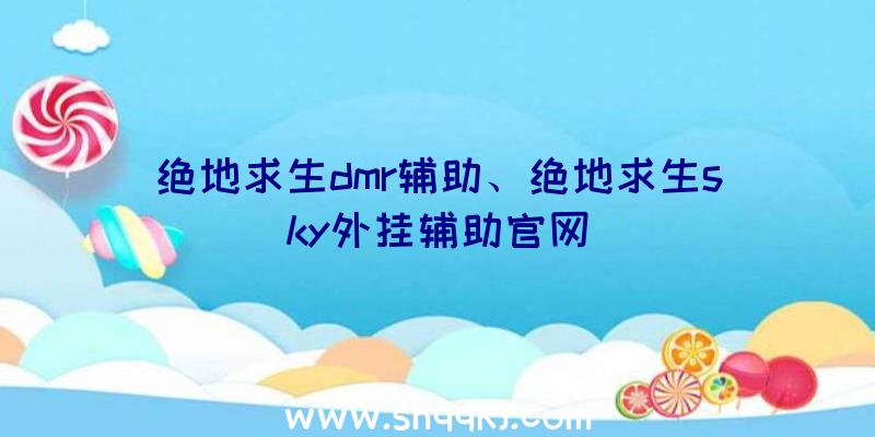 绝地求生dmr辅助、绝地求生sky外挂辅助官网