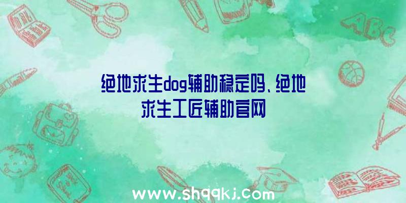 绝地求生dog辅助稳定吗、绝地求生工匠辅助官网