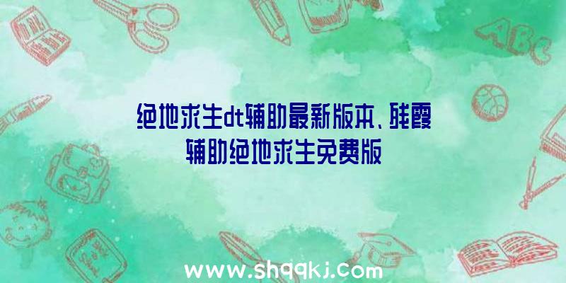 绝地求生dt辅助最新版本、残霞辅助绝地求生免费版