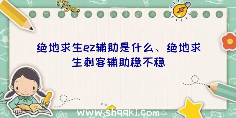 绝地求生ez辅助是什么、绝地求生刺客辅助稳不稳