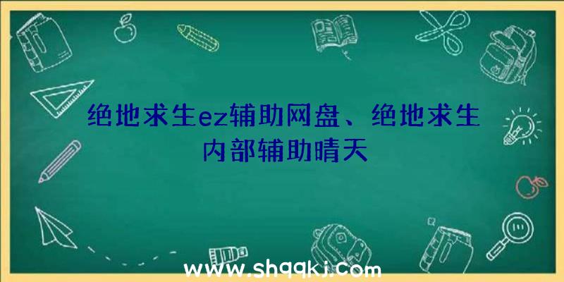 绝地求生ez辅助网盘、绝地求生内部辅助晴天