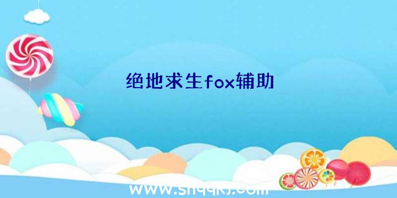 绝地求生fox辅助