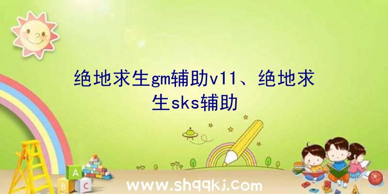 绝地求生gm辅助v11、绝地求生sks辅助