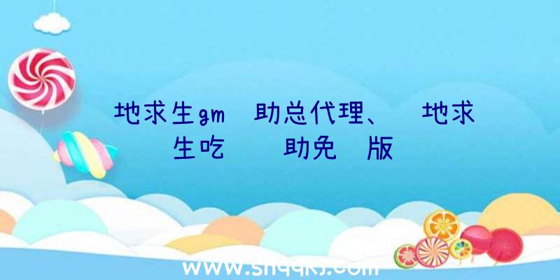 绝地求生gm辅助总代理、绝地求生吃鸡辅助免费版