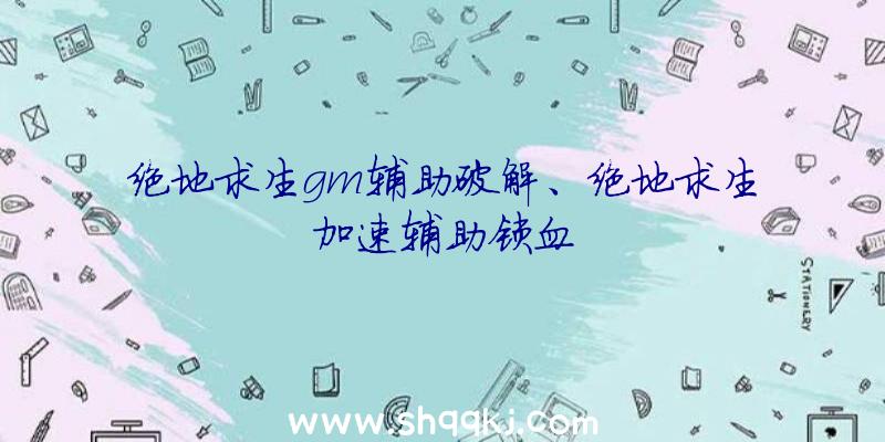 绝地求生gm辅助破解、绝地求生加速辅助锁血