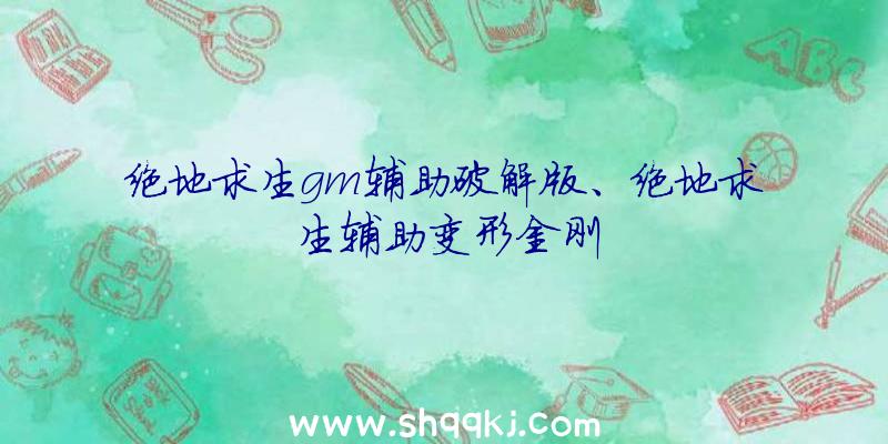 绝地求生gm辅助破解版、绝地求生辅助变形金刚