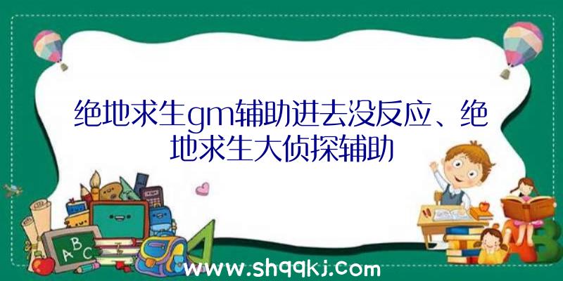 绝地求生gm辅助进去没反应、绝地求生大侦探辅助