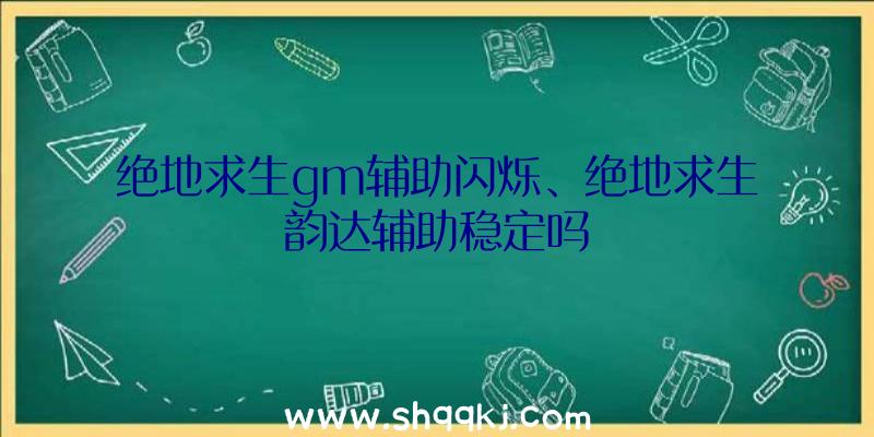 绝地求生gm辅助闪烁、绝地求生韵达辅助稳定吗