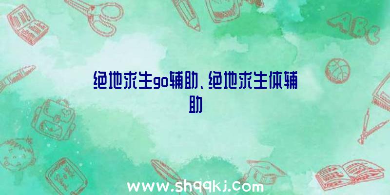 绝地求生go辅助、绝地求生体辅助