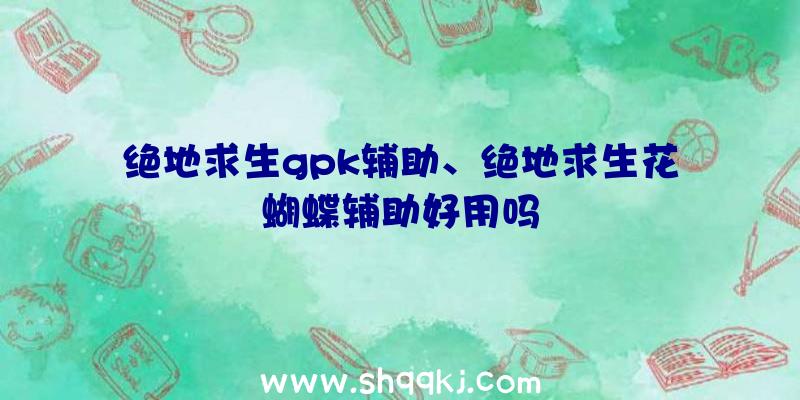 绝地求生gpk辅助、绝地求生花蝴蝶辅助好用吗