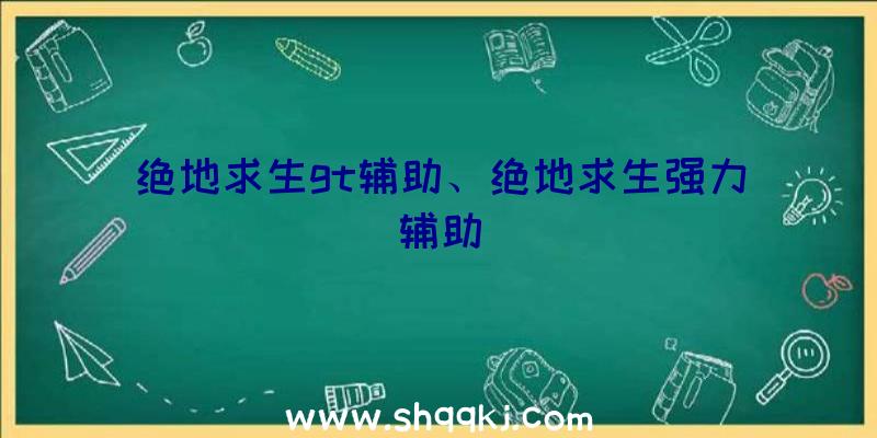 绝地求生gt辅助、绝地求生强力辅助