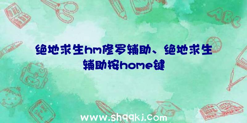 绝地求生hm修罗辅助、绝地求生辅助按home键