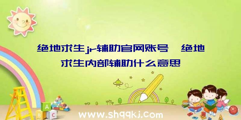 绝地求生jr辅助官网账号、绝地求生内部辅助什么意思