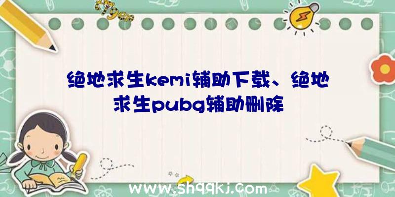 绝地求生kemi辅助下载、绝地求生pubg辅助删除