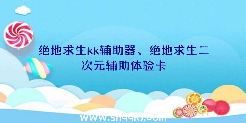 绝地求生kk辅助器、绝地求生二次元辅助体验卡