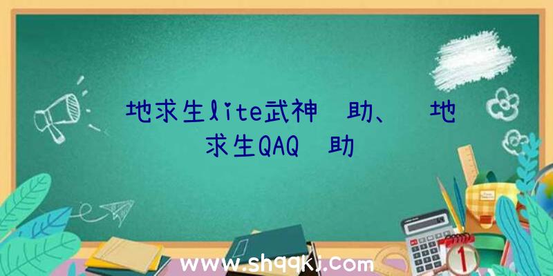 绝地求生lite武神辅助、绝地求生QAQ辅助