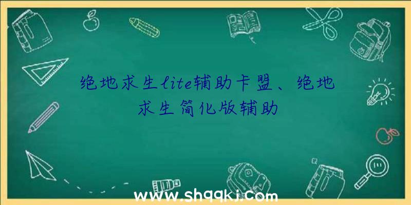 绝地求生lite辅助卡盟、绝地求生简化版辅助