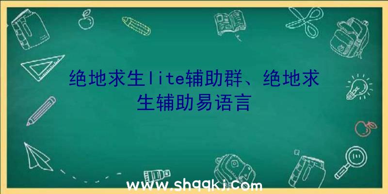 绝地求生lite辅助群、绝地求生辅助易语言