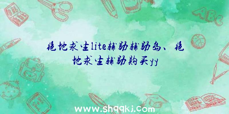 绝地求生lite辅助辅助岛、绝地求生辅助购买yy