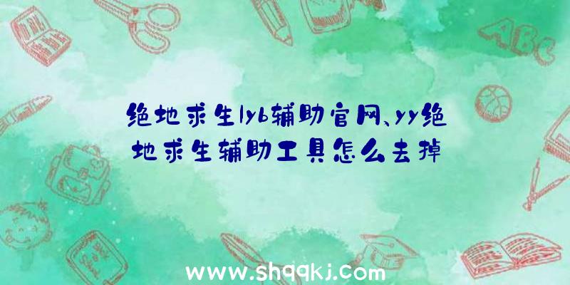 绝地求生lyb辅助官网、yy绝地求生辅助工具怎么去掉