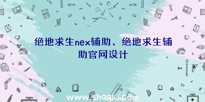 绝地求生nex辅助、绝地求生辅助官网设计