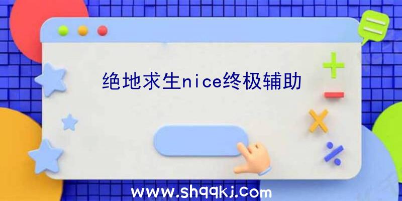 绝地求生nice终极辅助