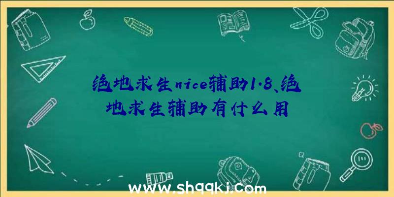 绝地求生nice辅助1.8、绝地求生辅助有什么用