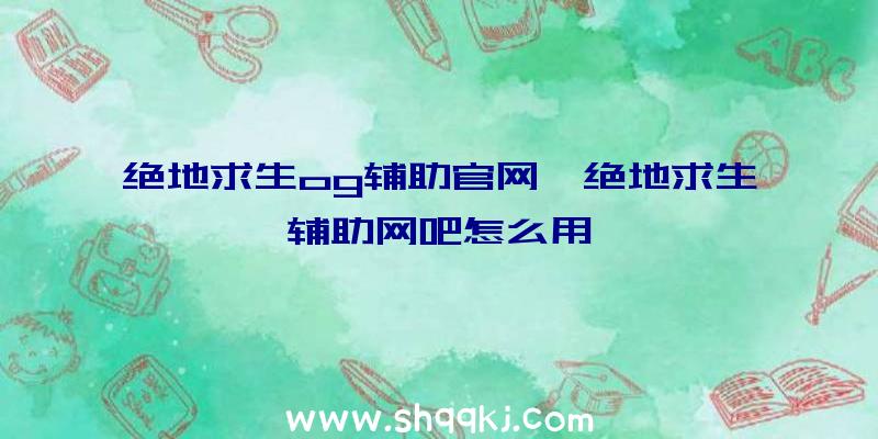 绝地求生og辅助官网、绝地求生辅助网吧怎么用