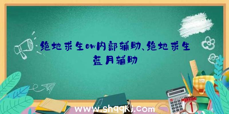 绝地求生ow内部辅助、绝地求生蓝月辅助