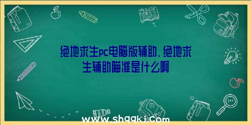 绝地求生pc电脑版辅助、绝地求生辅助瞄准是什么啊