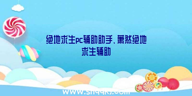 绝地求生pc辅助助手、萧然绝地求生辅助