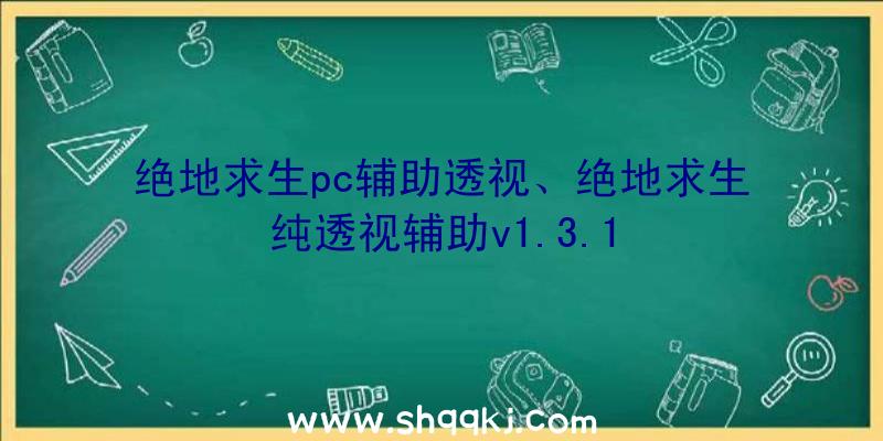 绝地求生pc辅助透视、绝地求生纯透视辅助v1.3.1