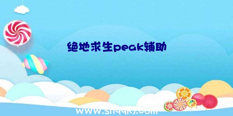 绝地求生peak辅助