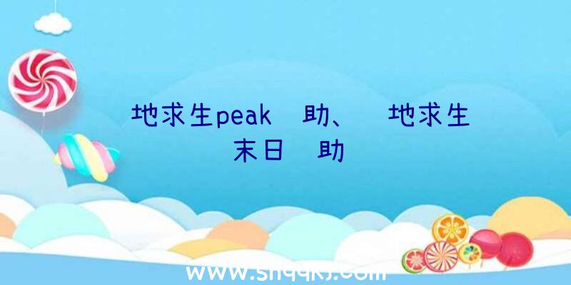 绝地求生peak辅助、绝地求生末日辅助