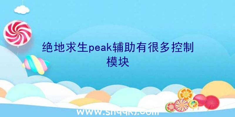 绝地求生peak辅助有很多控制模块