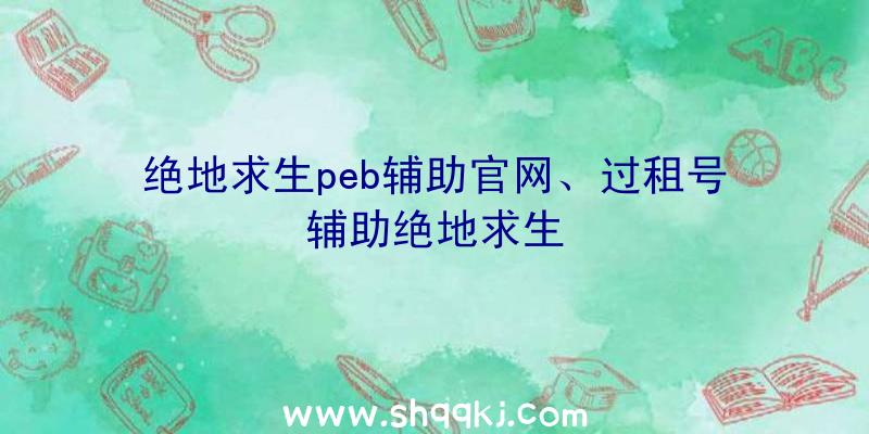 绝地求生peb辅助官网、过租号辅助绝地求生