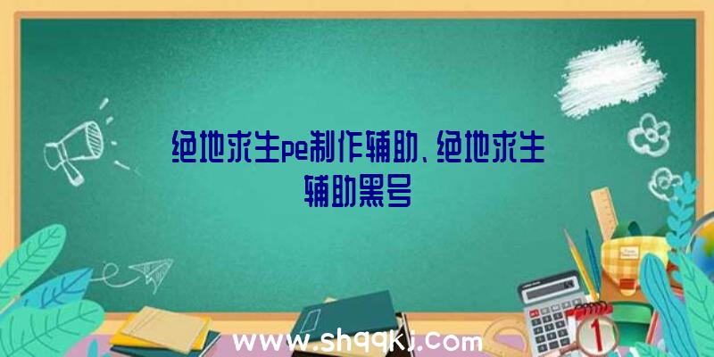 绝地求生pe制作辅助、绝地求生辅助黑号