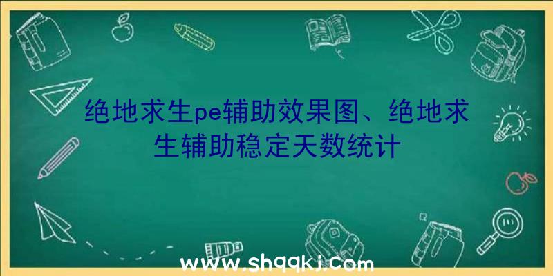 绝地求生pe辅助效果图、绝地求生辅助稳定天数统计