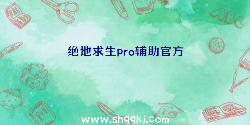 绝地求生pro辅助官方