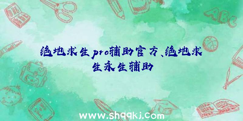 绝地求生pro辅助官方、绝地求生永生辅助