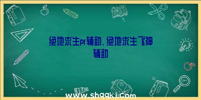 绝地求生pr辅助、绝地求生飞神辅助