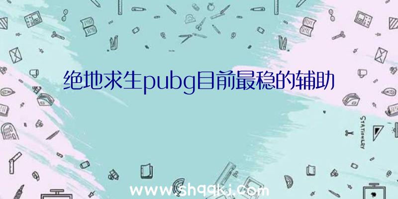 绝地求生pubg目前最稳的辅助