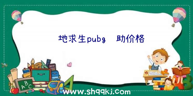 绝地求生pubg辅助价格