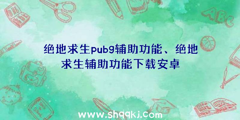 绝地求生pubg辅助功能、绝地求生辅助功能下载安卓